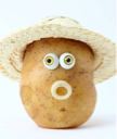 Potato Chip