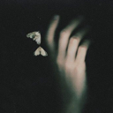 Aster