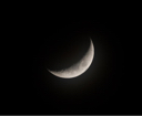 Lunalis