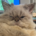 Minky Melon