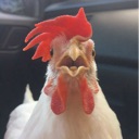 Mama