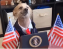 Mr President