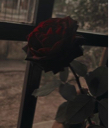 Rose Thorne