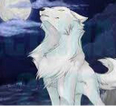 🐺Wolfie Writes🐺