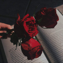 AVA_ROSE