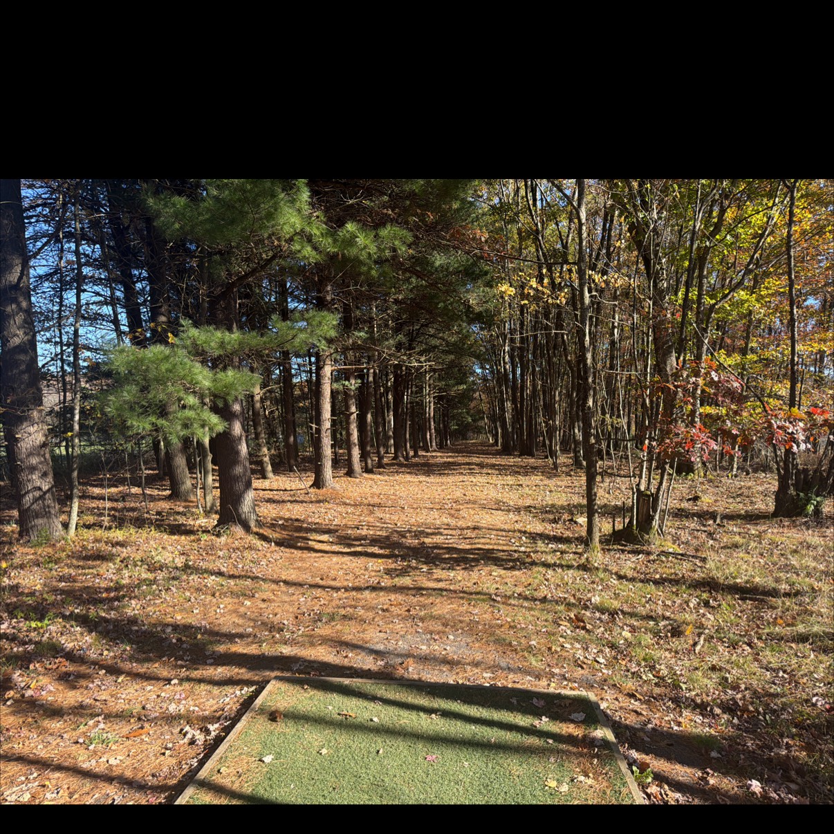 The Glades at Meshach Run disc golf course in Accident, MD