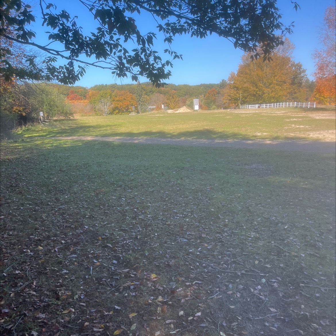 Shore blacks disc golf course in Holland, MI