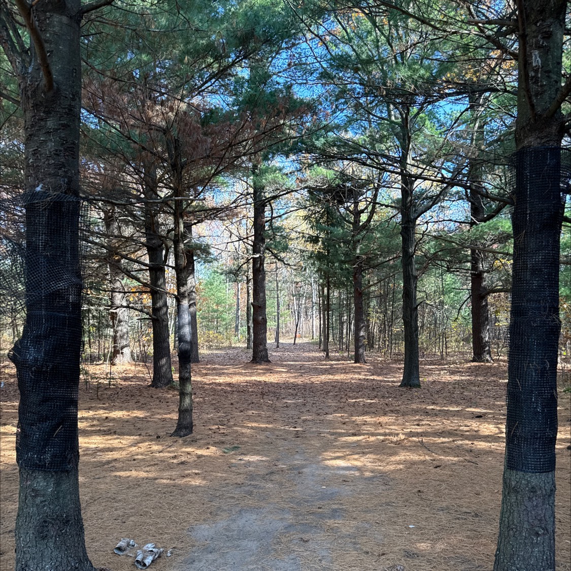 Liberty DGC disc golf course in Independence, KS
