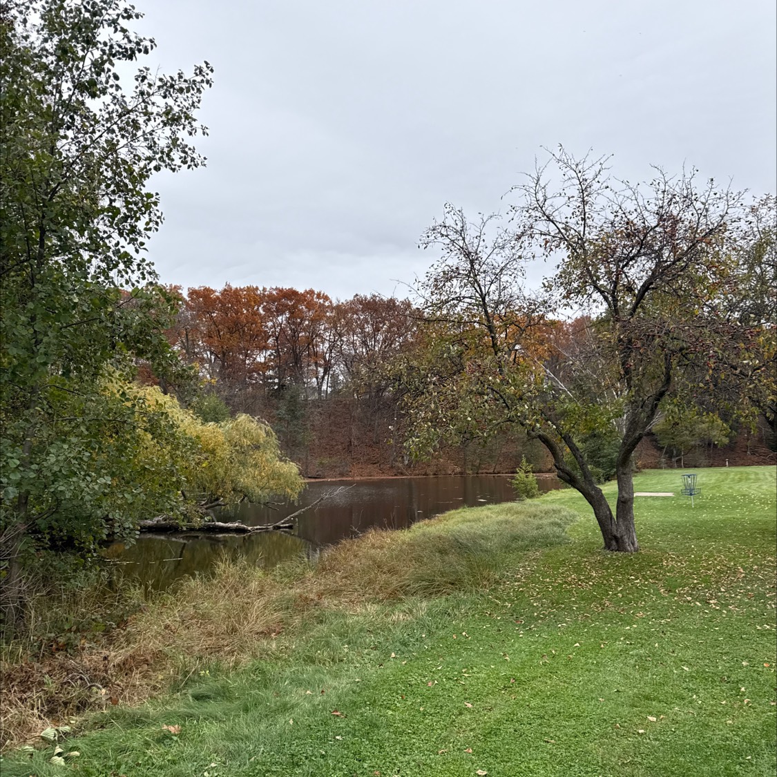 Memorial DGC disc golf course in Wausau, WI