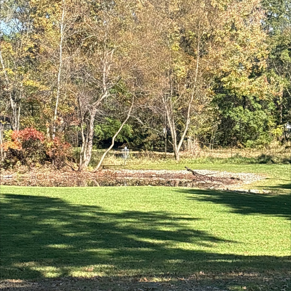 Tiger Town Disc Golf Course disc golf course in Warren, OH
