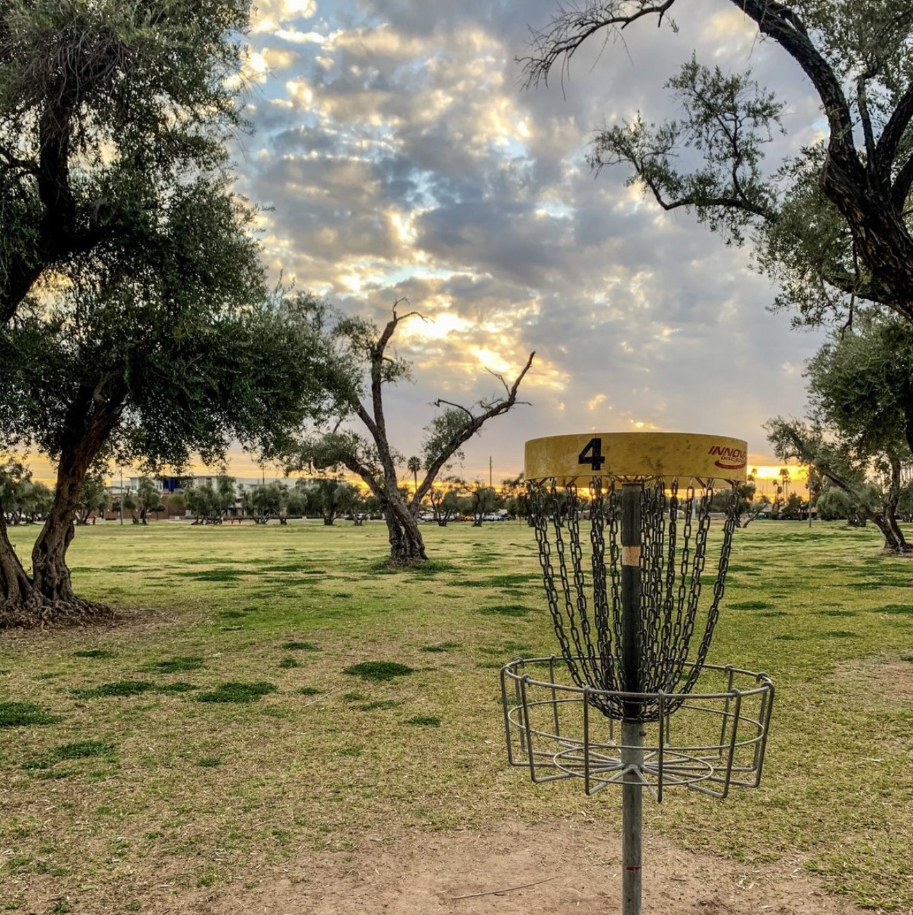 Los Olivos disc golf course in Phoenix, AZ