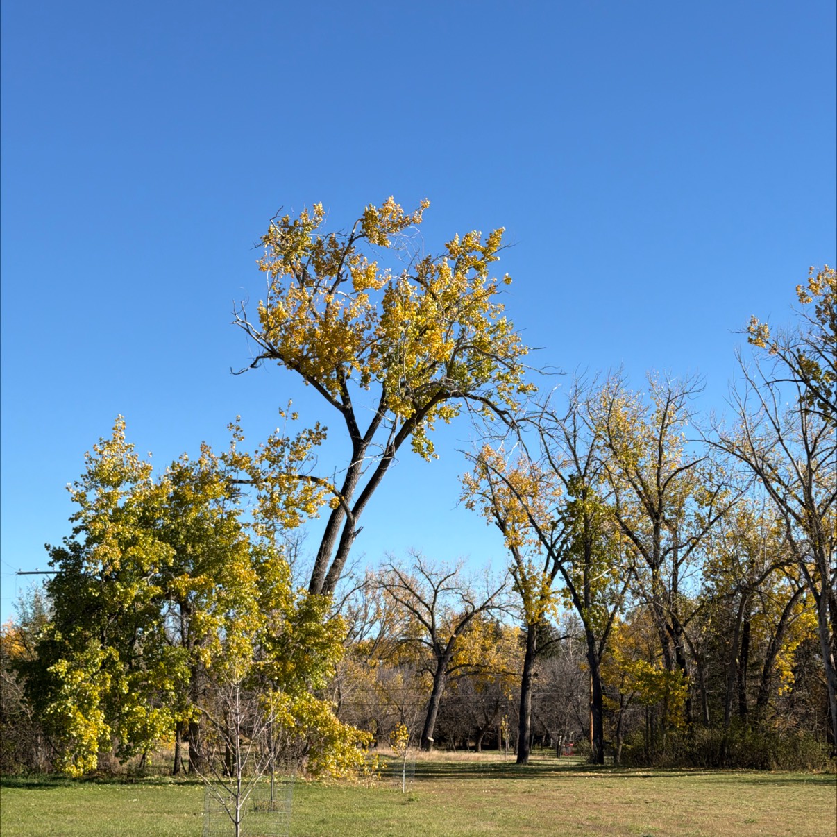 Wakamow Valley Disc Golf Course disc golf course in Moose Jaw, SK
