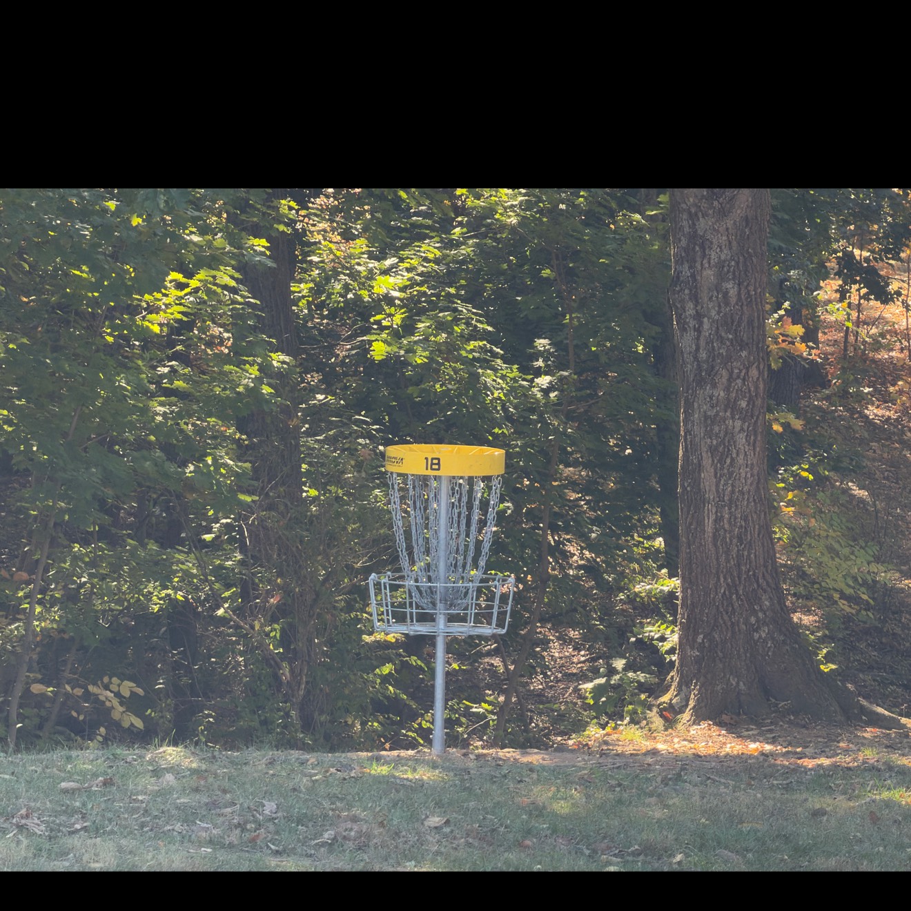 Jim Barnett Park disc golf course in Winchester, VA