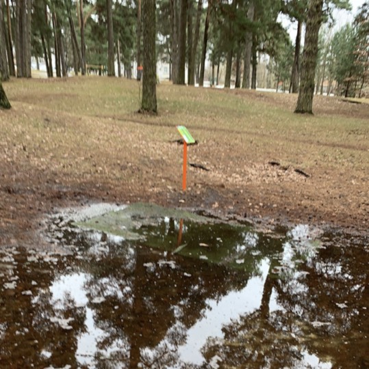 Rääma discgolf disc golf course in Pärnu, Pärnu County