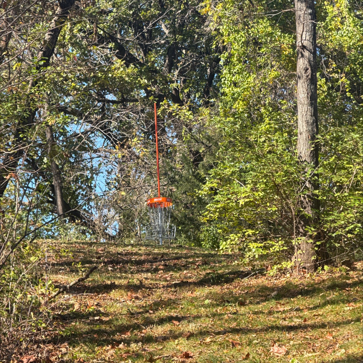 Veteran's Memorial Park disc golf course in Dubuque, IA