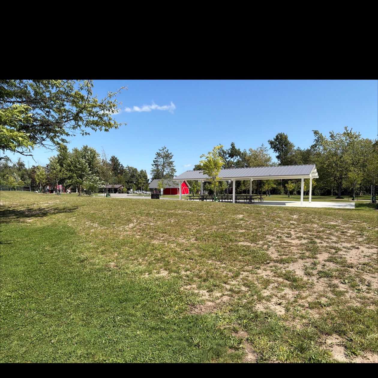 Memorial Park DGC disc golf course in Kawartha Lakes, ON