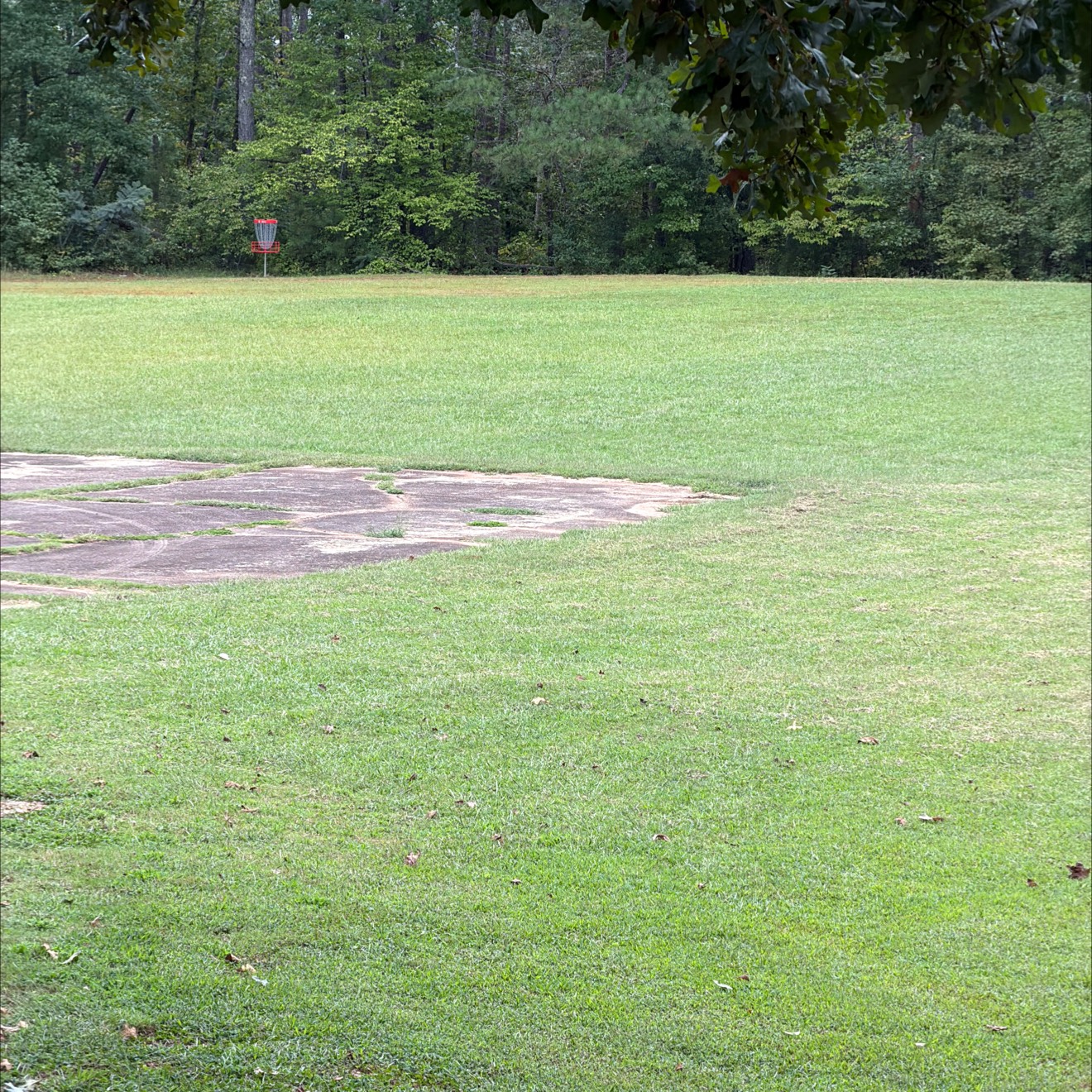 Gateway TR disc golf course in Travelers Rest, SC