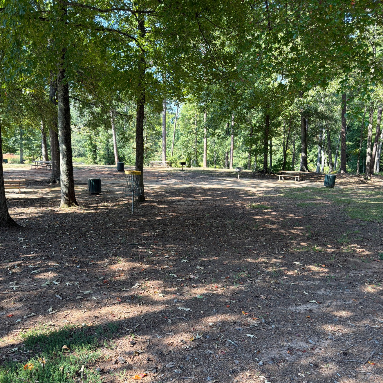 Darwin Wright Park disc golf course in Anderson, SC
