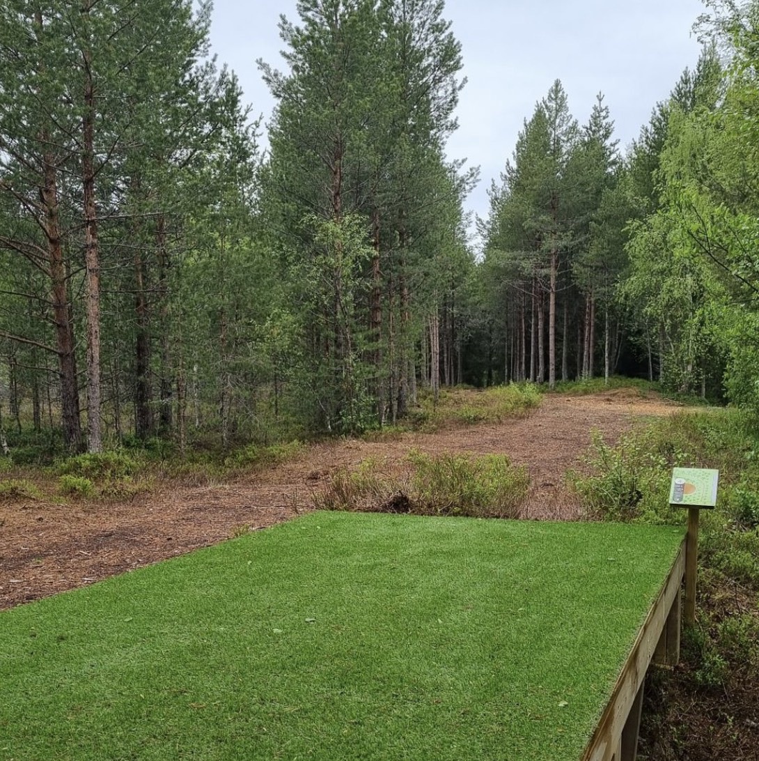 Tillerskogen disc golf course in Tiller, Trøndelag