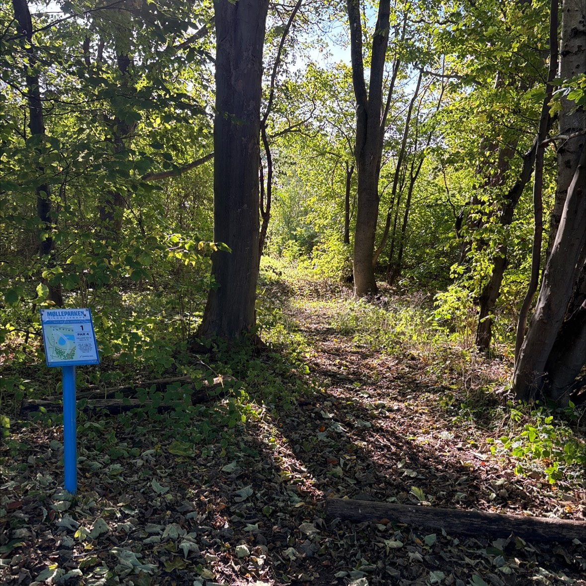 Mølleparken disc golf disc golf course in Taastrup, Region Hovedstaden