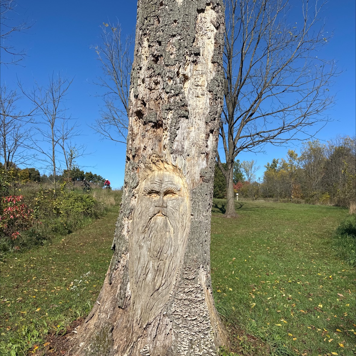 Meyer Broadway: North Course disc golf course in Three Rivers, MI