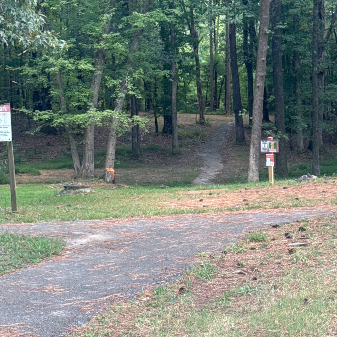 Muse park disc golf course in Jackson, TN