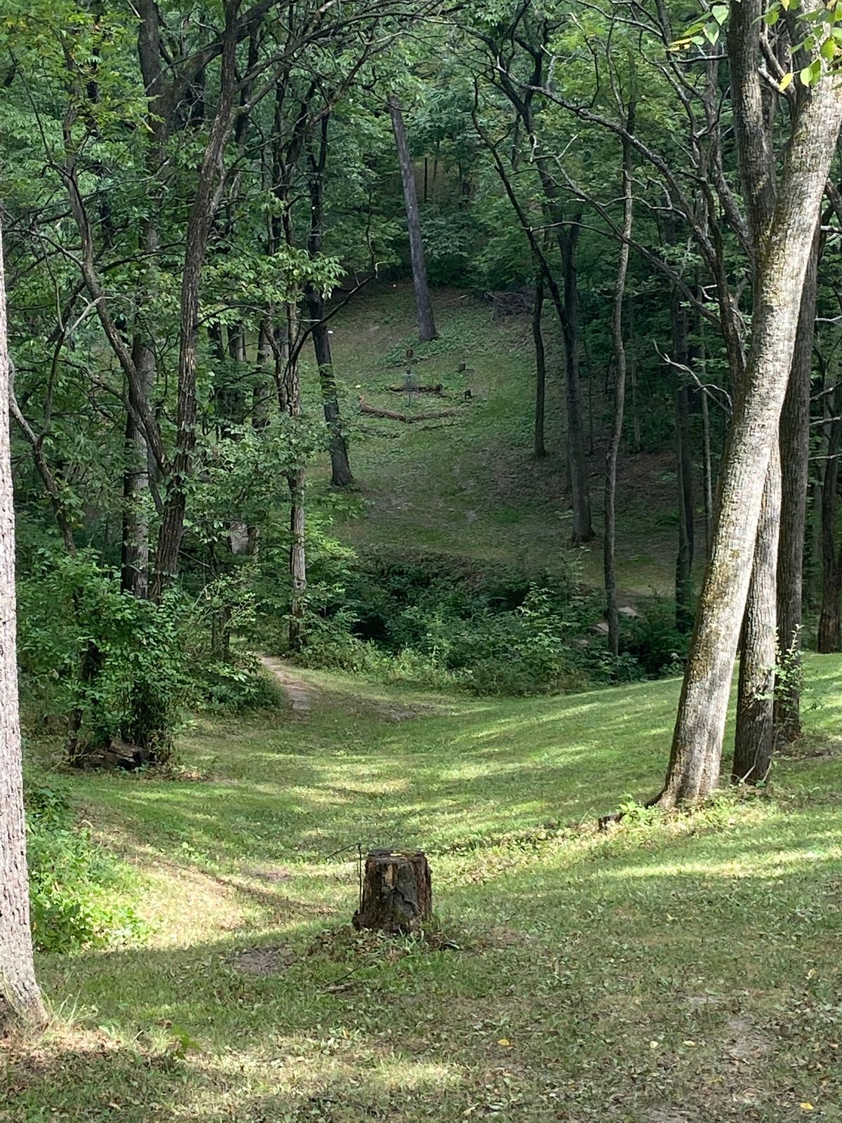 Camden 2 disc golf course in Milan, Illinois