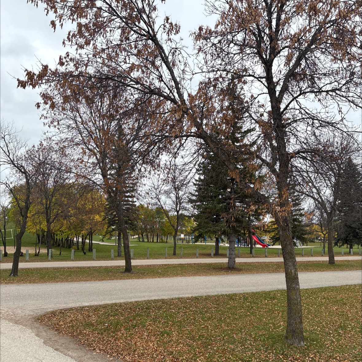 AD Penner disc golf course in Steinbach, MB