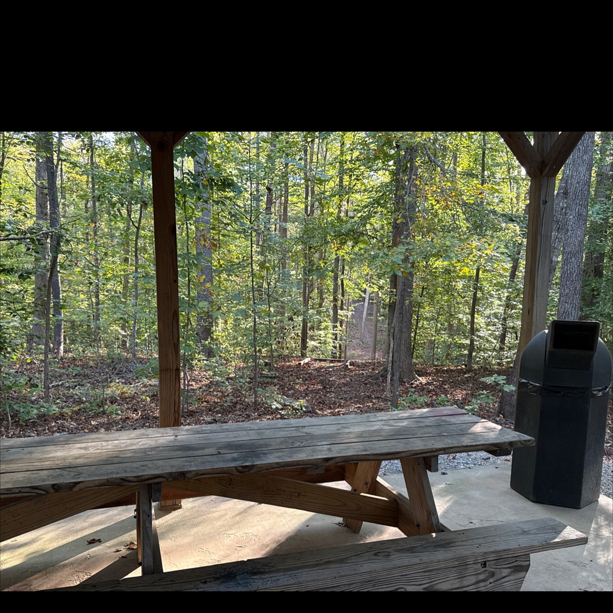 The Monster at Fighting Creek disc golf course in Powhatan, VA