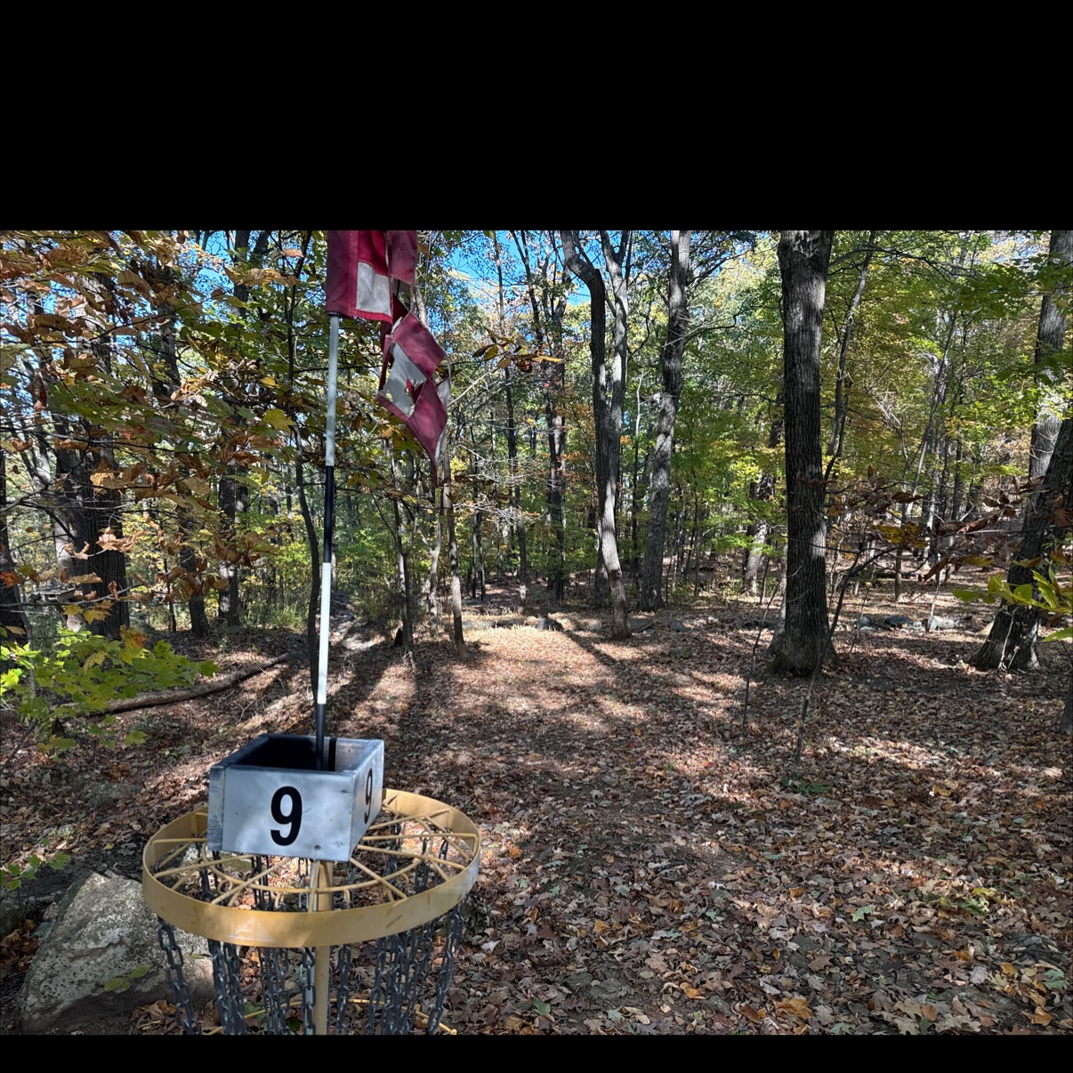 Wintergreen Resort DGC disc golf course in Roseland, VA