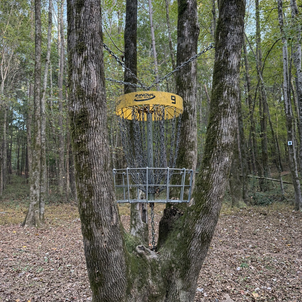 The Tracks at McDonough disc golf course in McDonough, GA