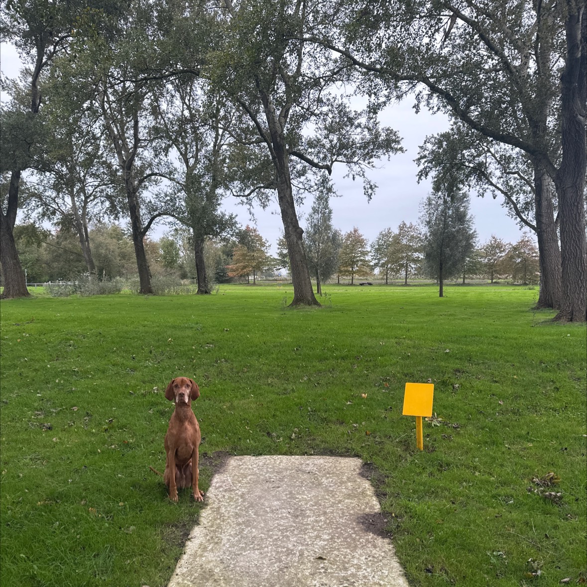 My Course disc golf course in Offingawier, Friesland