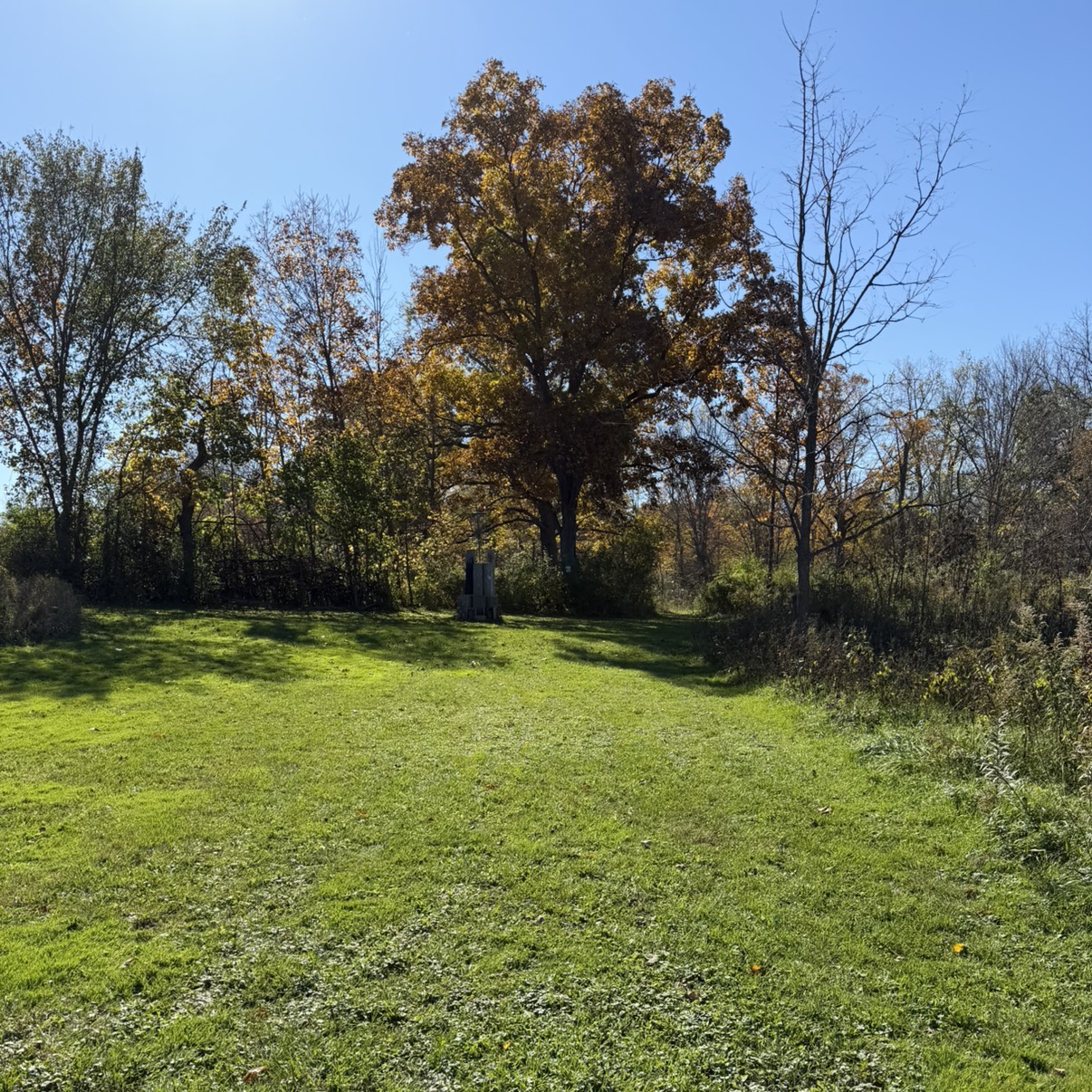Johnson Park DGC disc golf course in Racine, WI