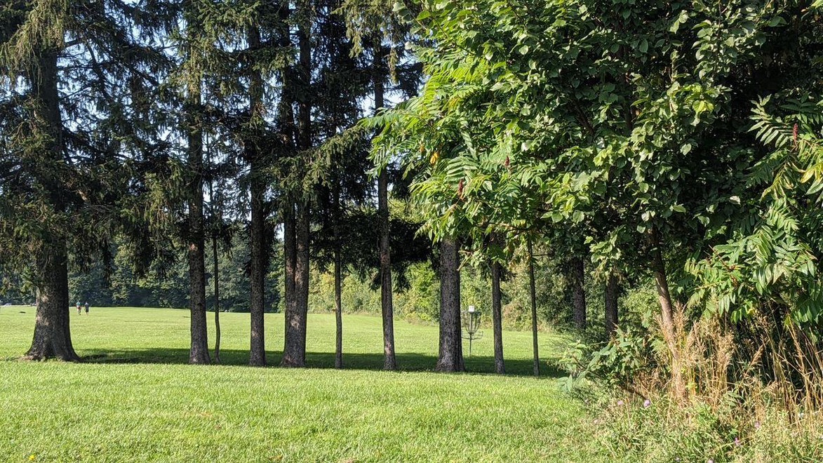 Jamesville Beach disc golf course in Jamesville, NY