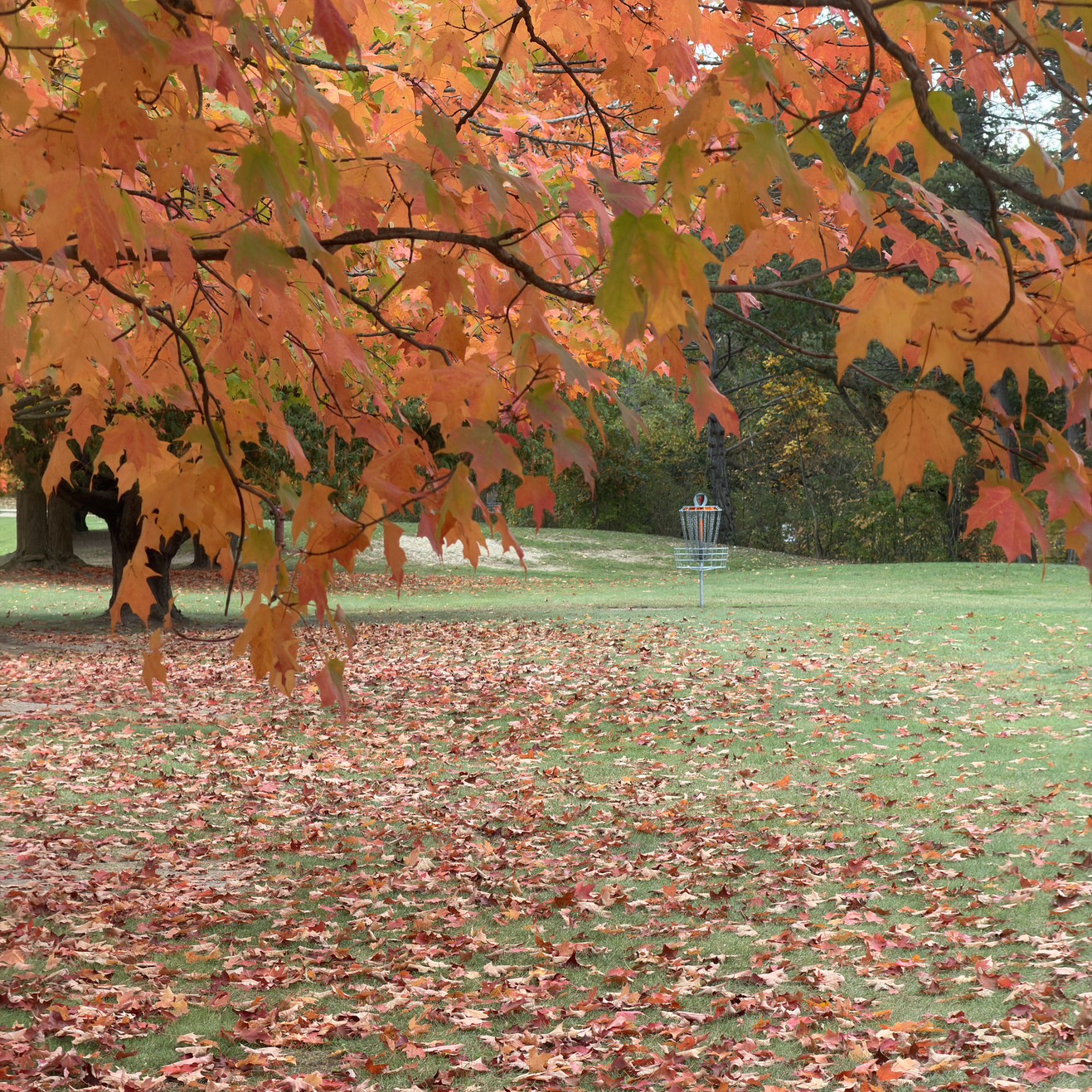Bay Court Park disc golf course in Clarkston, MI