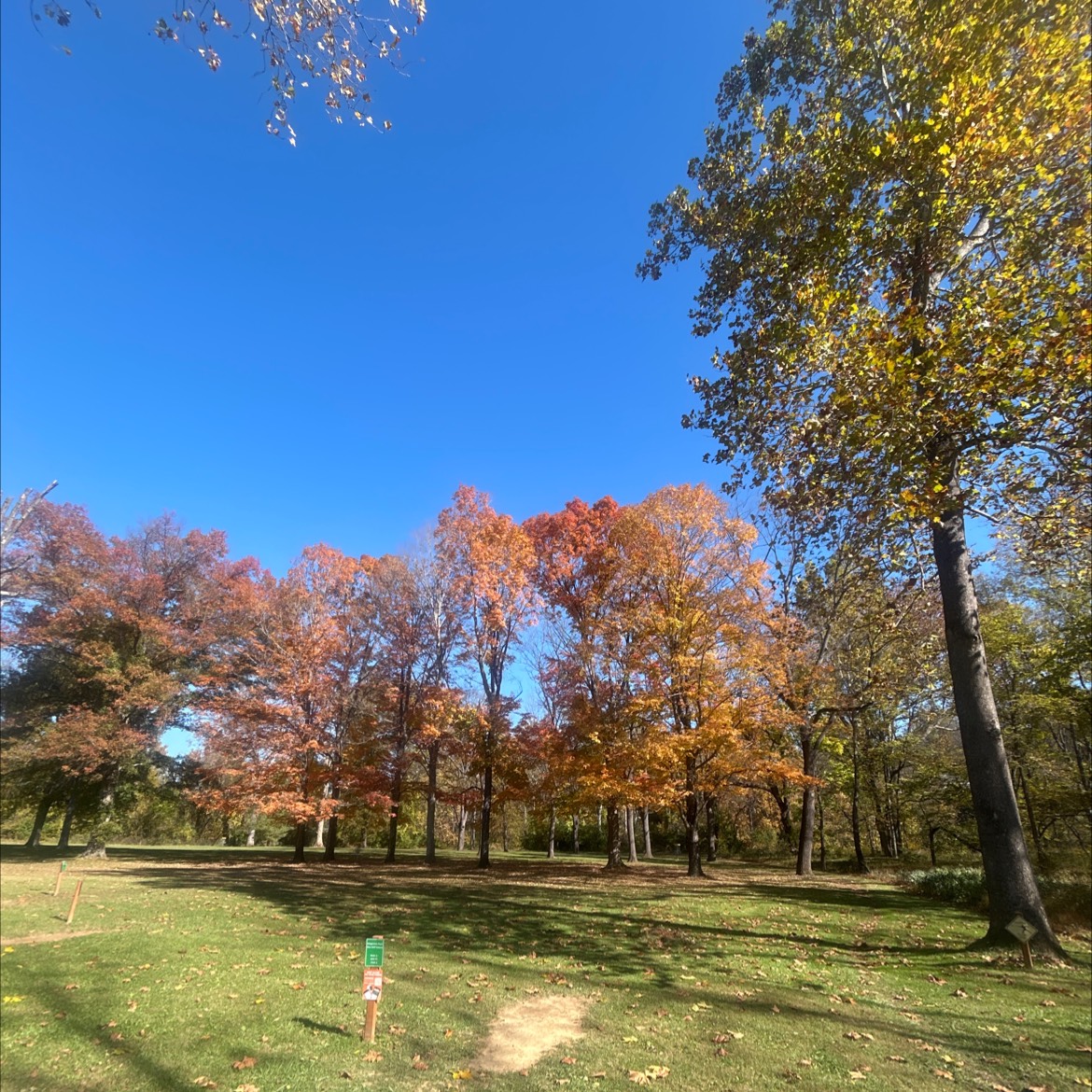 Ridgeview Park Disc Golf Course disc golf course in Waynesboro, VA