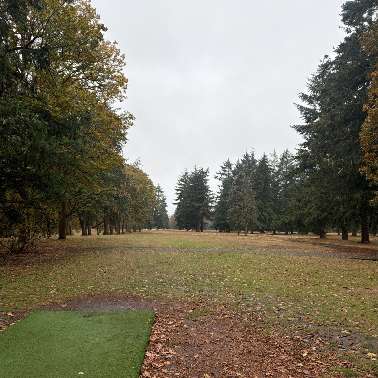Rhododendron Course disc golf course in Lakewood, WA
