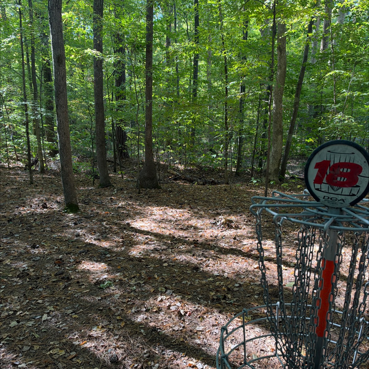 Northwest River Park disc golf course in Chesapeake, VA