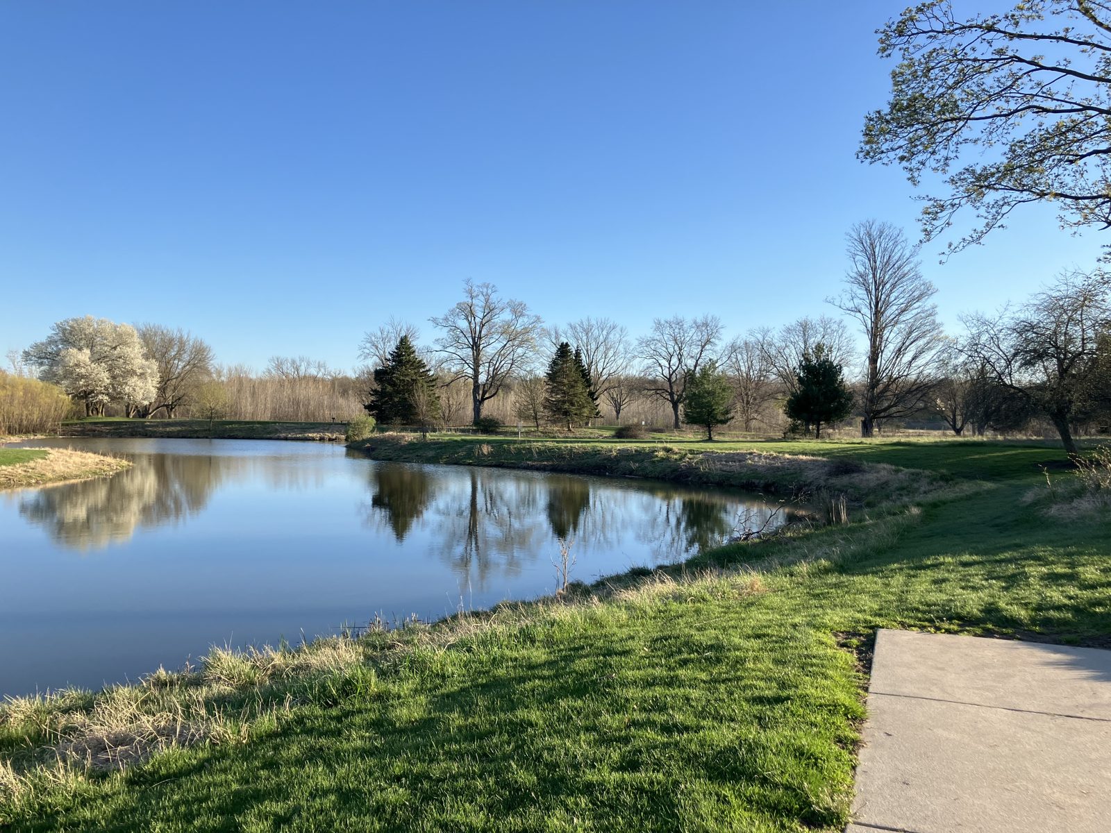 Paw Paw Park disc golf course in Holland, Michigan