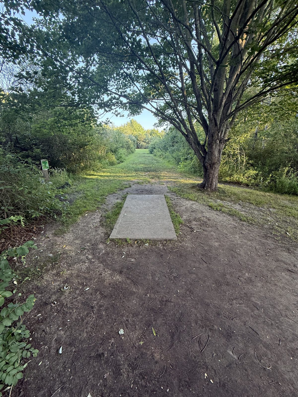 Lakeshore Disc Golf Complex disc golf course in Spring Lake, Michigan