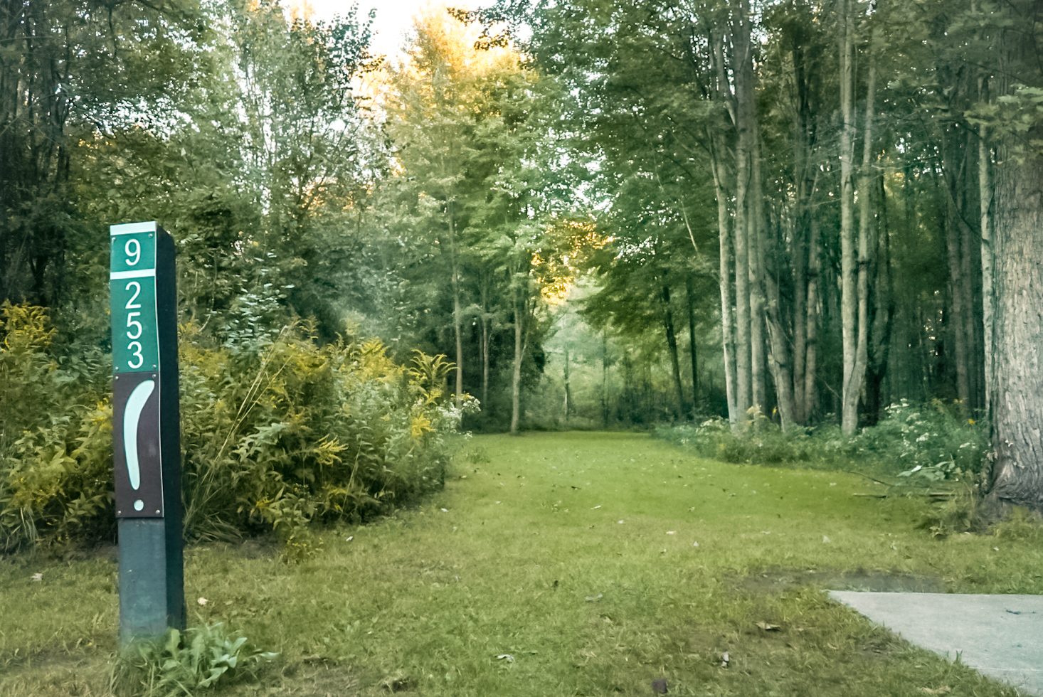 Acorn Knoll at Willow Metropark disc golf course in New Boston, Michigan