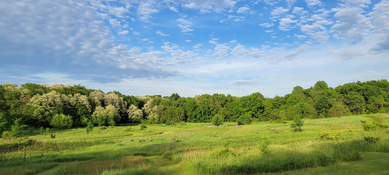 Meyer Broadway - North disc golf course in Three Rivers, Michigan