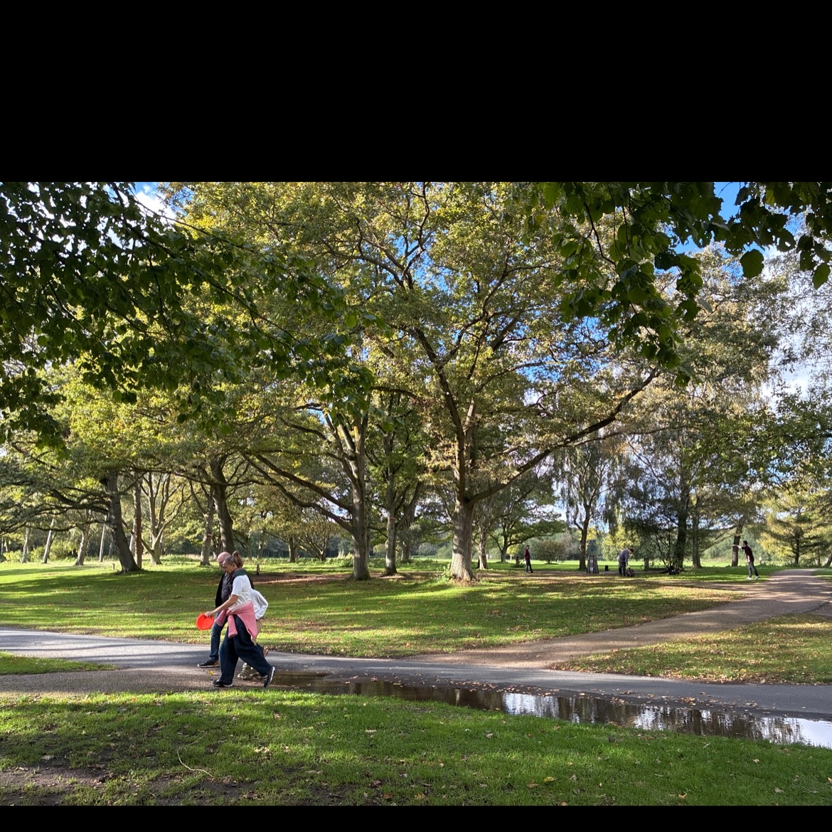 Valbyparken Disc Golf disc golf course in København SV, Capital Region of Denmark