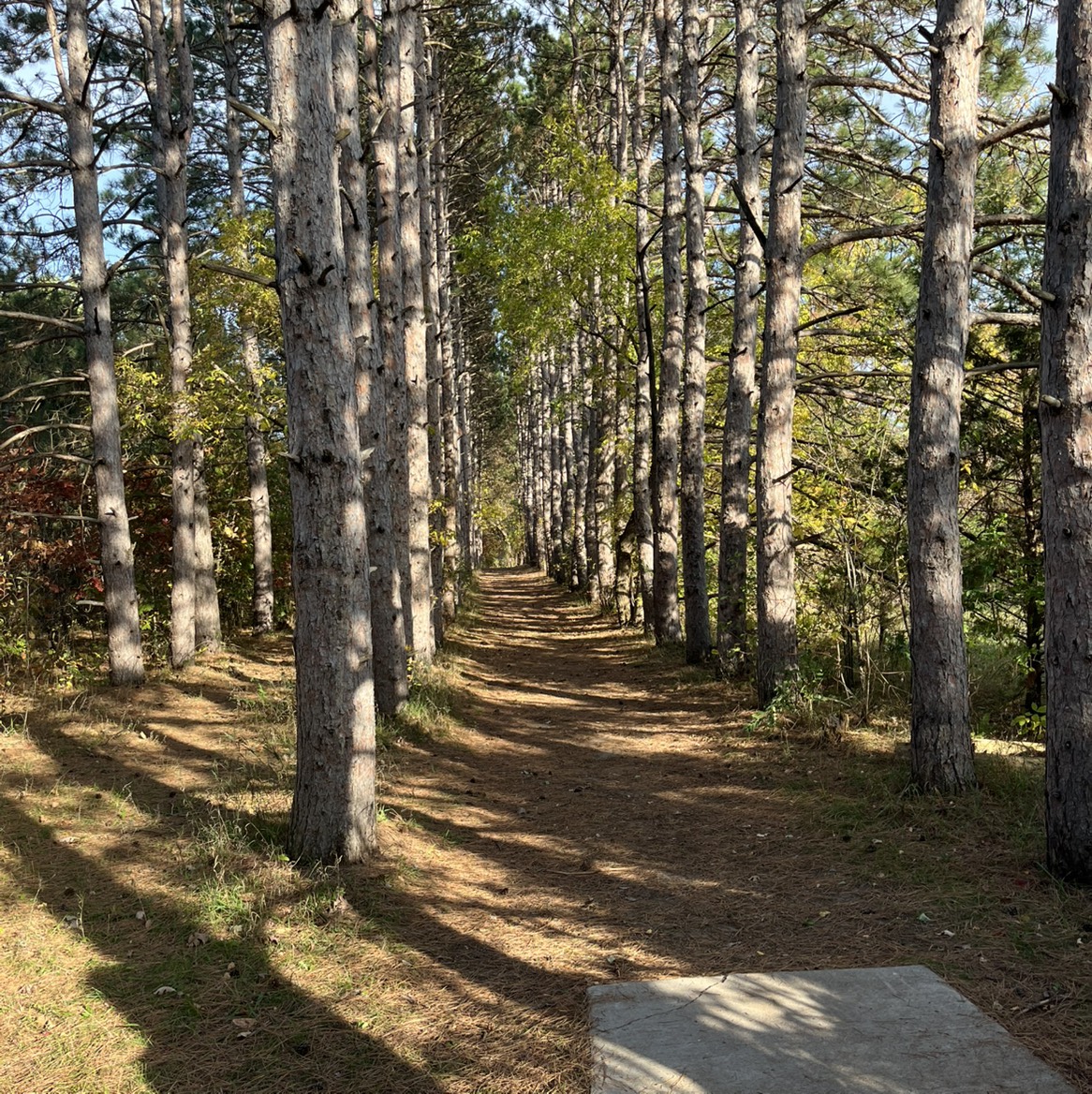 Mississippi River County Park disc golf course in Rice, MN