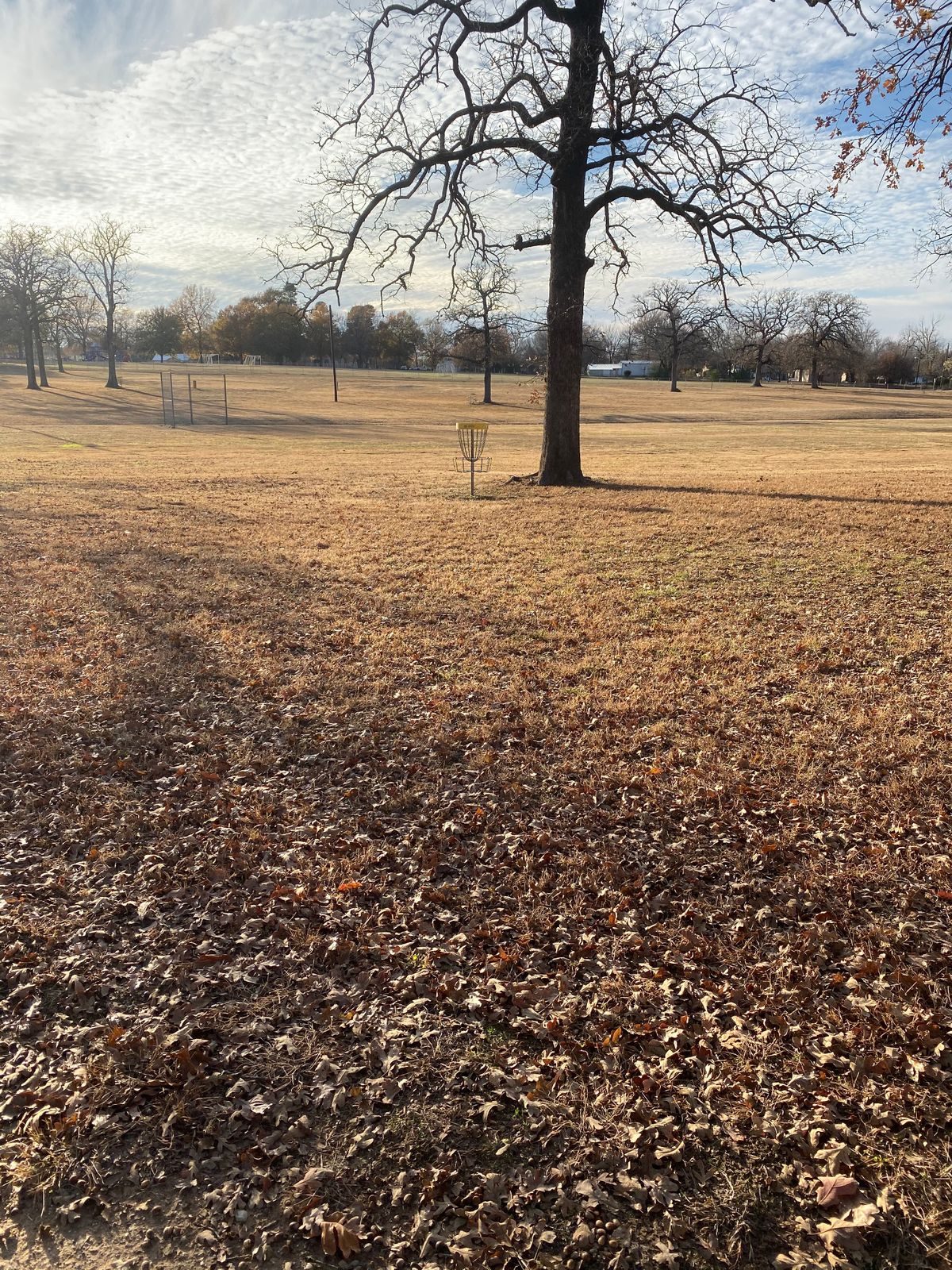 Walker Park disc golf course in Paris, Texas