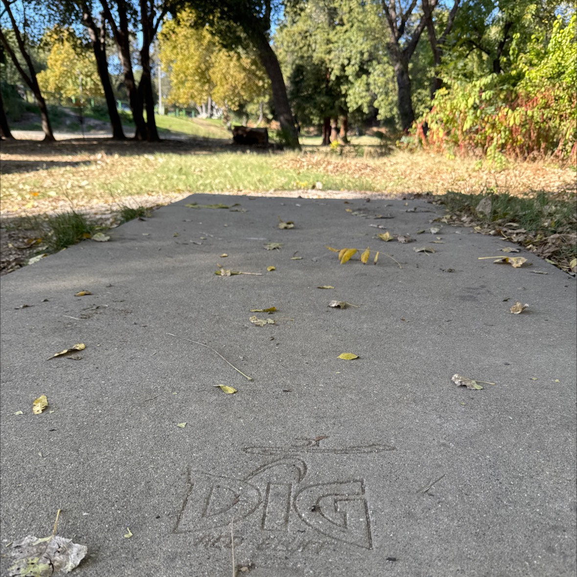 Dog island disc golf course in Red Bluff, CA