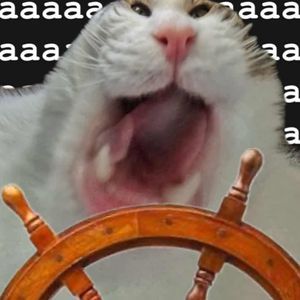 Дмитрий Котов