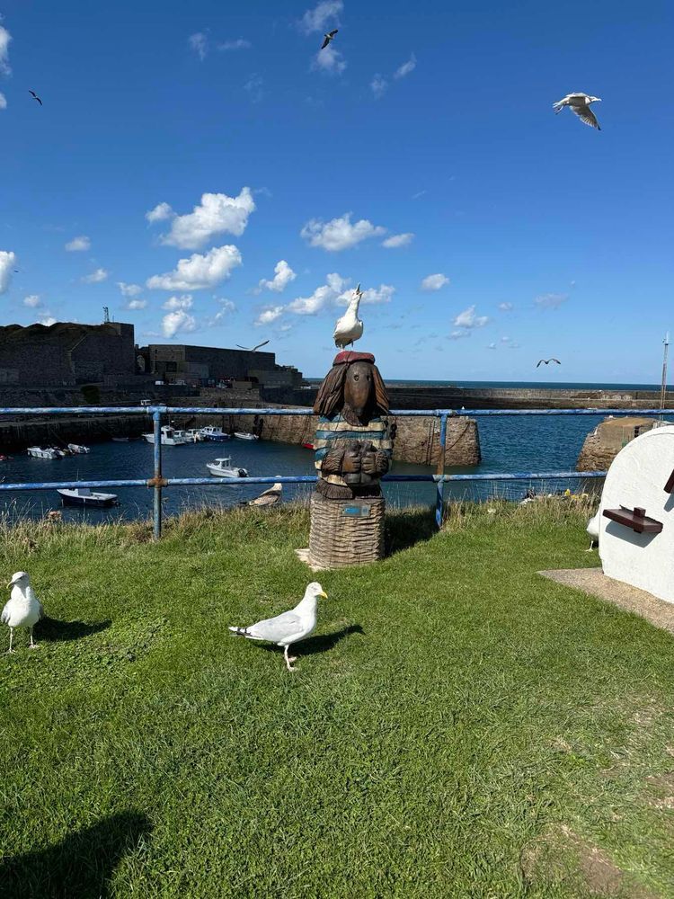 Voyage photo from Pipedreamer maiden voyage Braye to St Peter Port