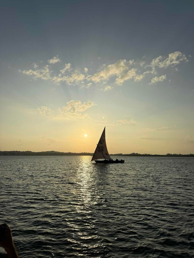 Voyage photo from Dhow sail