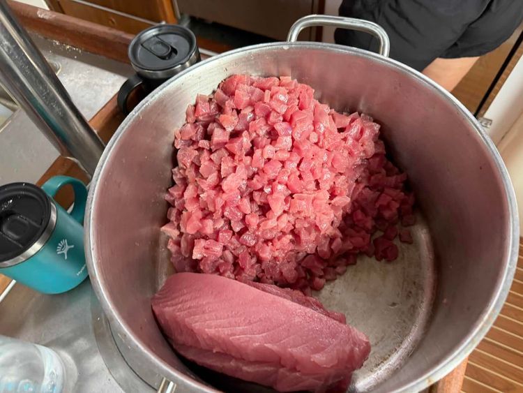 Voyage photo from San Diego to Cabo San Lucas